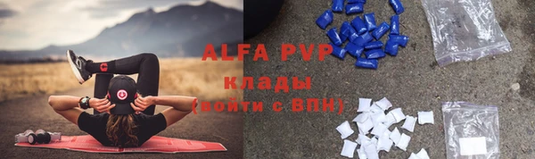 ПСИЛОЦИБИНОВЫЕ ГРИБЫ Гусь-Хрустальный