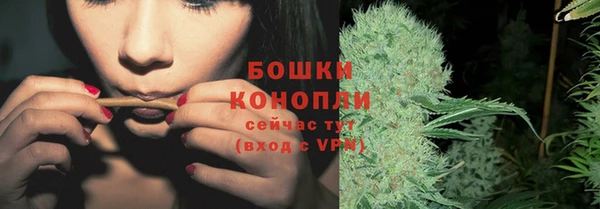 ПСИЛОЦИБИНОВЫЕ ГРИБЫ Гусь-Хрустальный