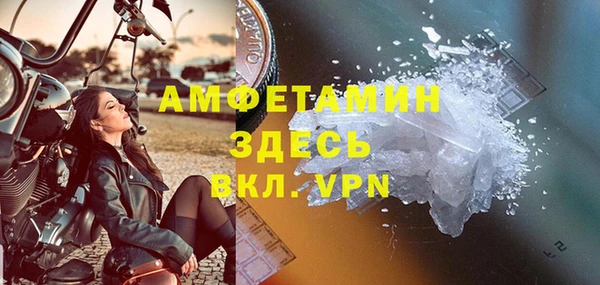 ПСИЛОЦИБИНОВЫЕ ГРИБЫ Гусь-Хрустальный